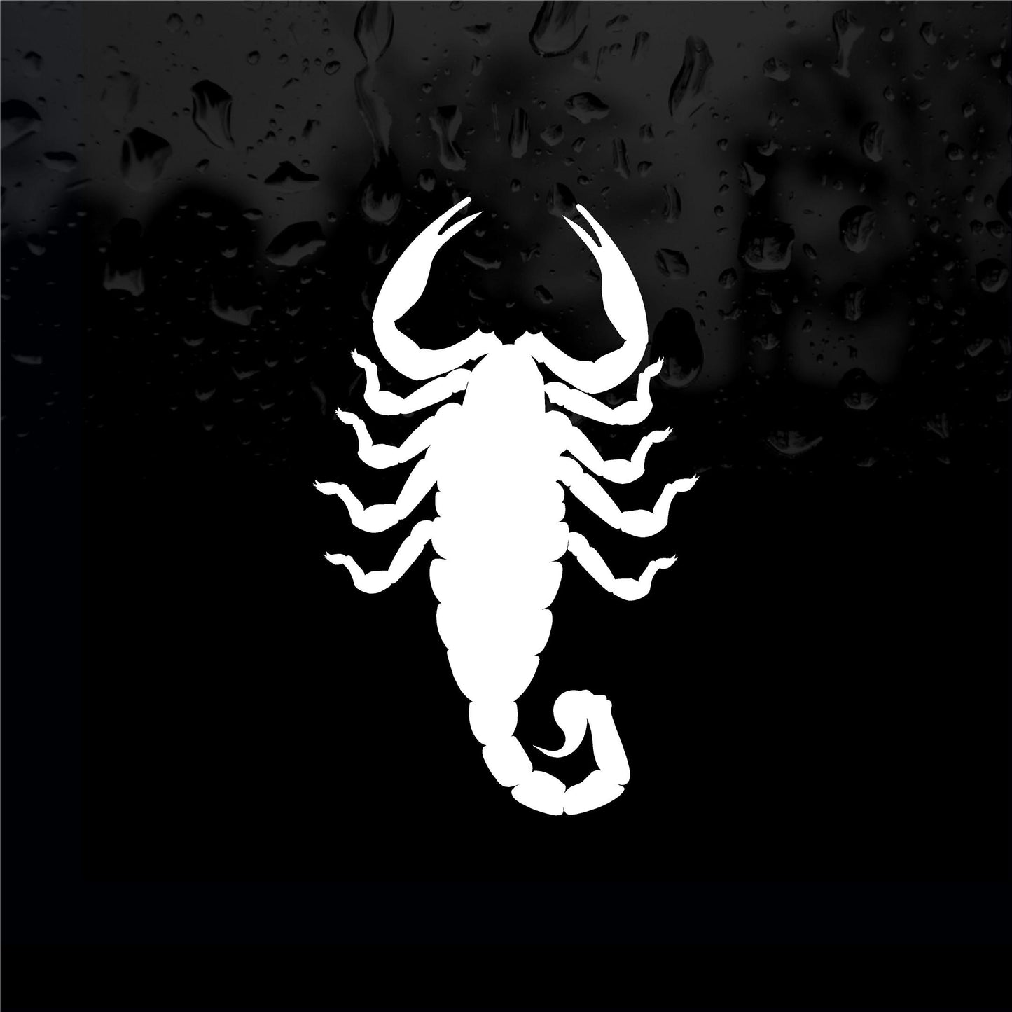 Decals - Stickers. Scorpion - Alacran