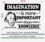 Quotes Decals. Wall Decal. Albert Einstein: Imagination is more important.