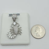 Solid 925 Sterling Silver. Scorpion Pendant SCORPIO ICY. Optional Chain
